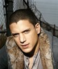 Вентворт Миллер (Wentworth Miller)