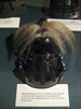 Самураи: Art of War