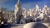 Лучшие фотографии России-2009, фото, фотография
