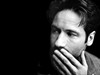 Дэвид Духовны (David Duchovny)