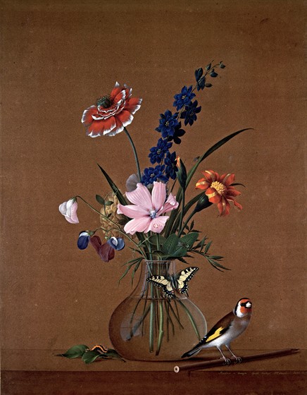 Of scholarly interest: botanists describe CURRENT EXHIBITION. 4