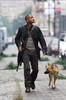 Я — легенда! (I Am Legend)