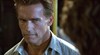 Правдивая ложь (True Lies)
