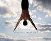 Мирный воин (Peaceful Warrior)
