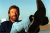 Чак Норрис (Chuck Norris)
