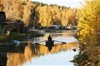 Овсянки, кадр из фильма