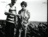 Андалузский пес (Un chien andalou)