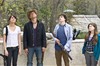 Добро пожаловать в Зомбиленд (Zombieland)