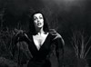 Эд Вуд (Ed Wood)