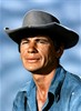 Чарлз Бронсон (Charles Bronson)