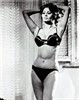 Софи Лорен (Sophia Loren)