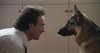 Джеймс Белуши (James Belushi)
