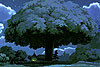 Мой сосед Тоторо (Tonari no Totoro)