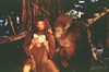 Джордж из джунглей (George of the Jungle)