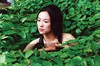 Чжан Цзыи (Zhang Ziyi)