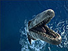Чудища морей 3D: Доисторическое приключение (Sea Monsters: A Prehistoric Adventure)