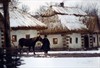 Тарас Бульба