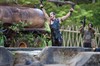 Бен Стиллер (Ben Stiller)