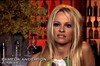 Памела Андерсон (Pamela Anderson)